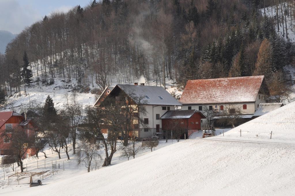 Apartments Lovec Cerkno Værelse billede